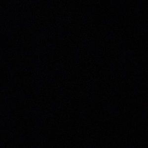 Meet your Posher, Harrison